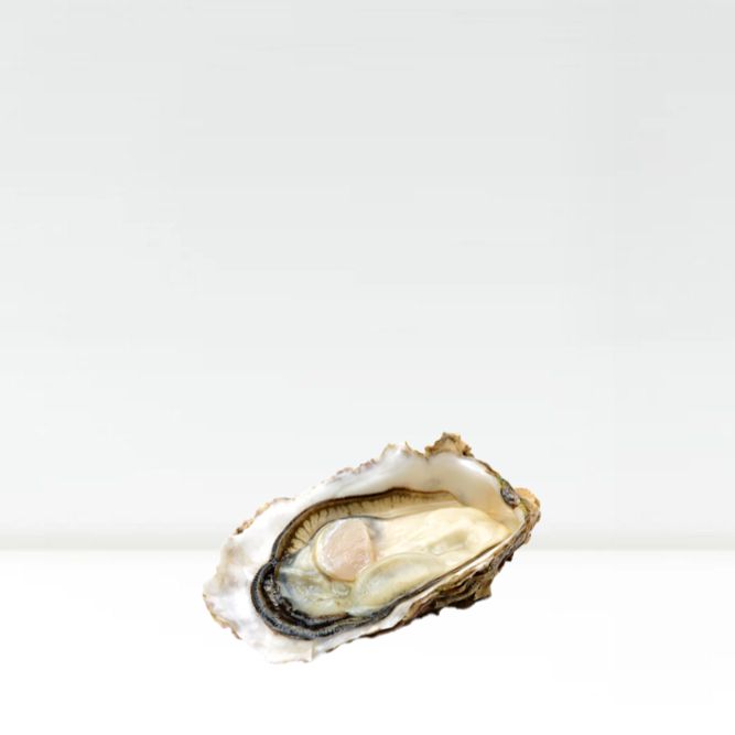 Huître creuse Gillardeau N°4