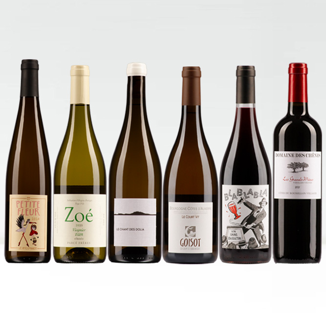Das große Weinmesse-Paket