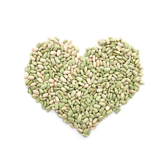 Flageolet-Bohnen Eintopf