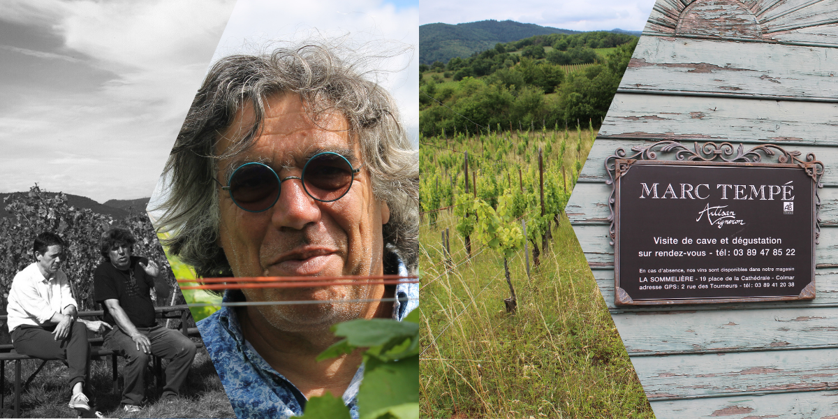 Weinprobe mit Marc Tempé am 7. September 2025