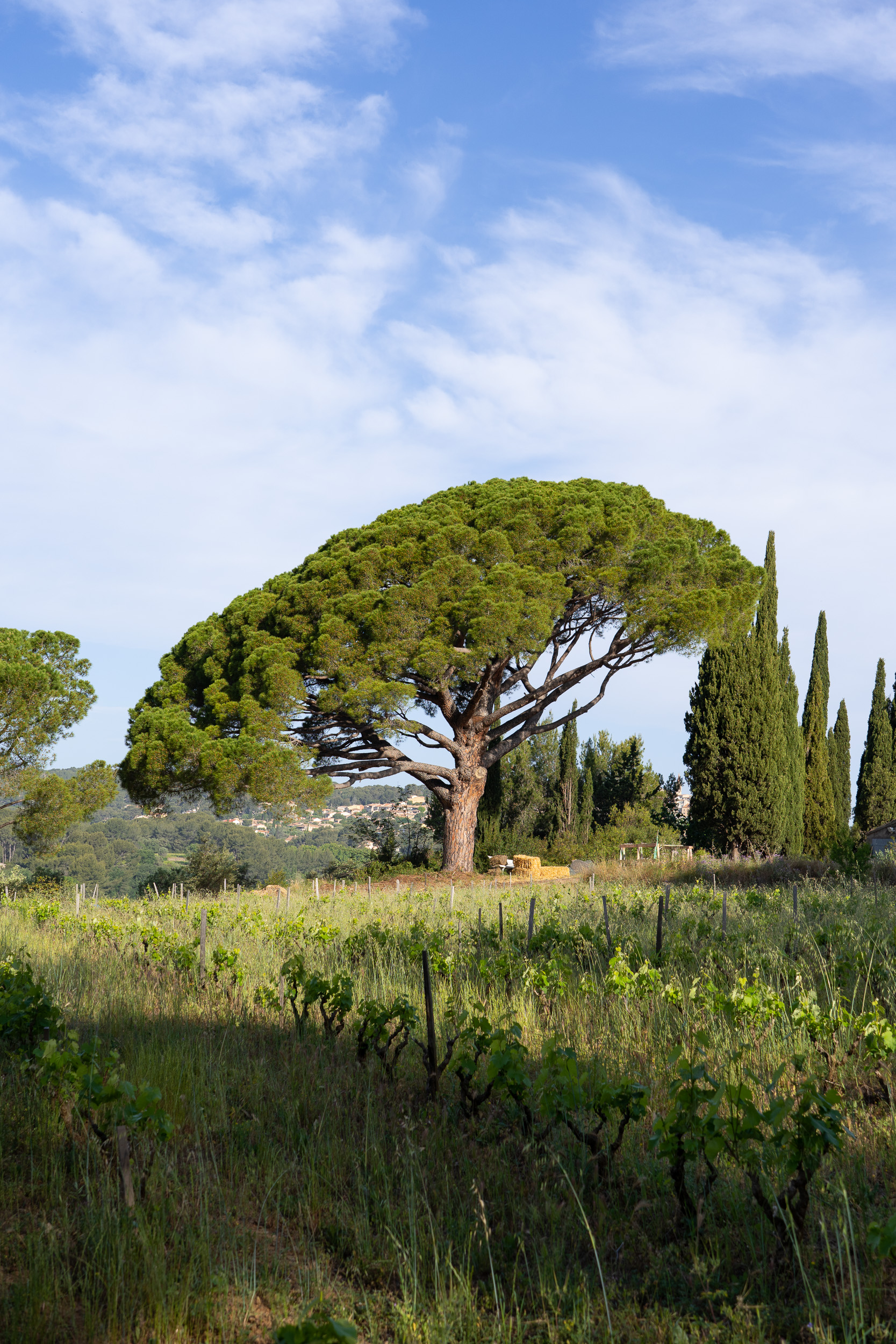 domaine les oeuvres vives_weingut