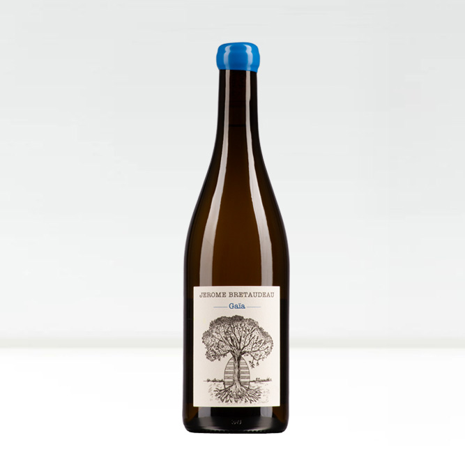 Muscadet 2023 Gaia