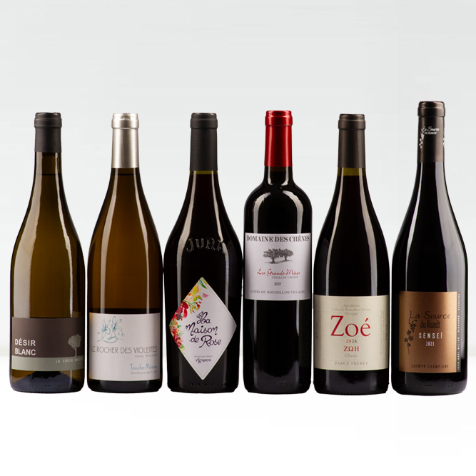 Das große Monatspaket Januar 2026