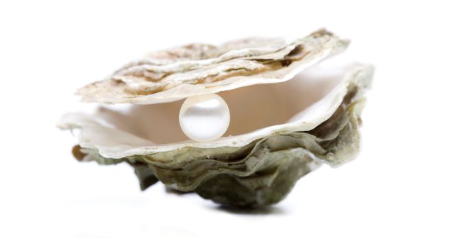 DÉGUSTATION DELUXE - Im Juli DÉGUSTATION DELUXE - Im Juli