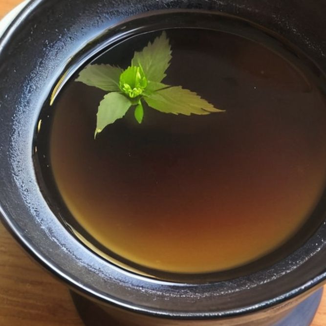 Dashi Dashi