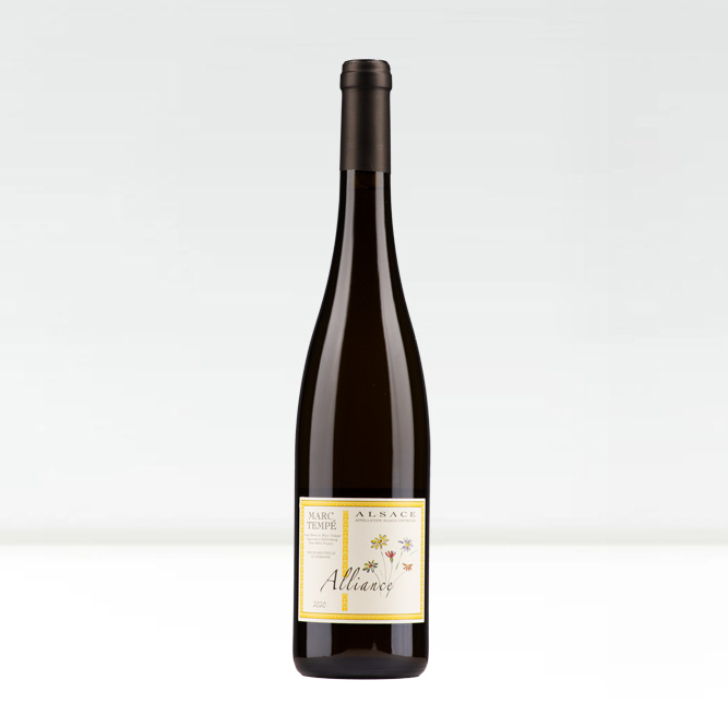 Alliance 2020 Alliance 2020