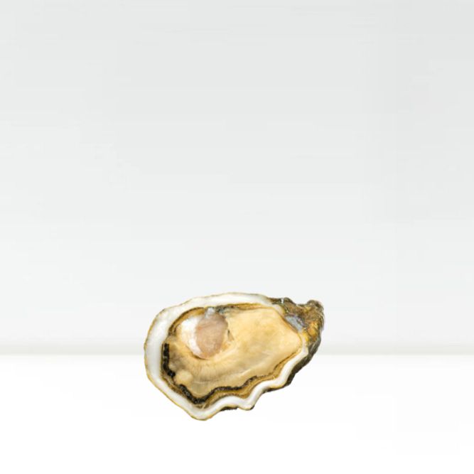 Huître creuse Baby Kys N°5