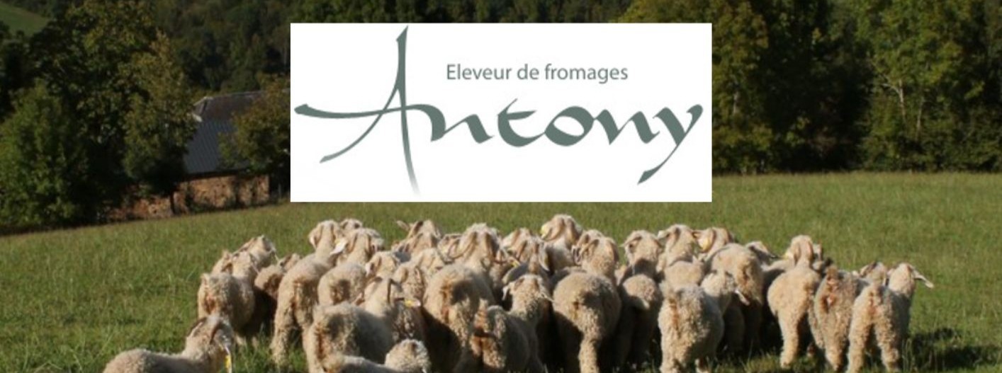 antony-logo+bild