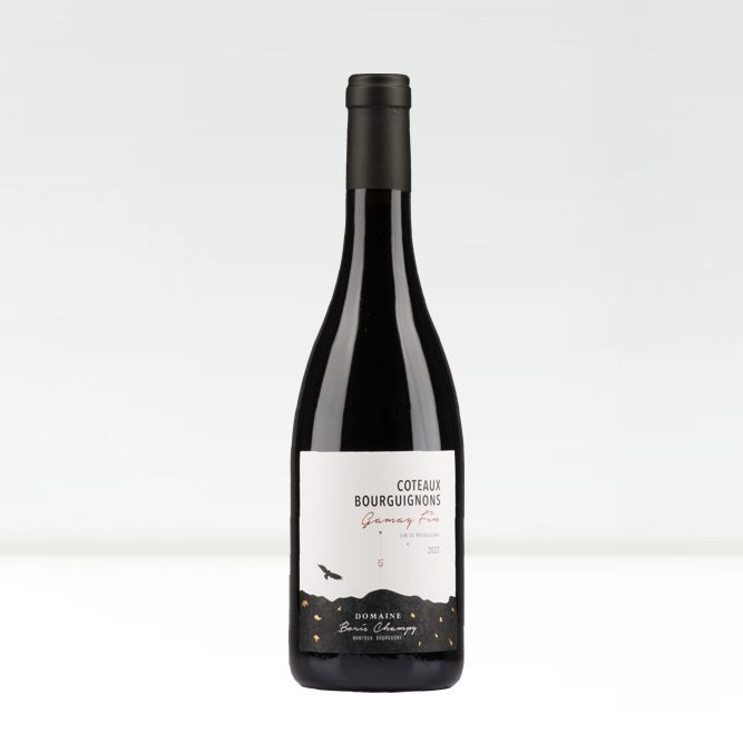 Côteaux Bourguignons 2022 Gamay Fin