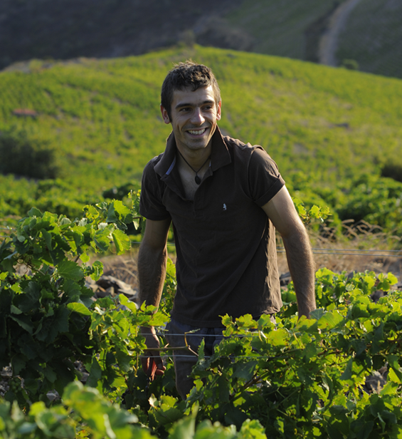 augustin_parce_weingut-zugeschnitten